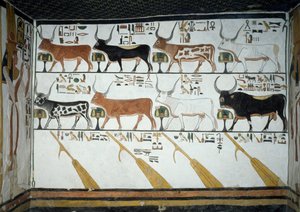 Sept vaches célestes, taureau époux et quatre rames de direction, chapitre 148 du Livre des Morts (détail) - Egyptian 19th Dynasty