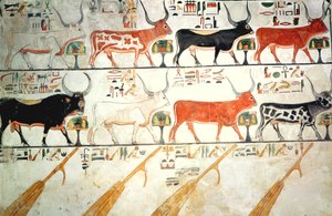 Les sept vaches célestes et le taureau sacré et les quatre gouvernails du ciel, de la tombe de Néfertari, Nouvel Empire (peinture murale) - Egyptian 19th Dynasty