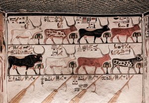 Tombe de Néfertari - Egyptian 19th Dynasty