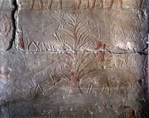 Chèvres mangeant un buisson, relief du mastaba d