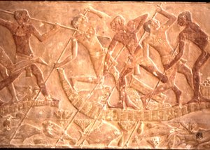 Hommes harponnant des poissons depuis un bateau en papyrus, tombe de Ptah-Hotep, 5e dynastie