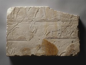Relief avec animaux du désert, Ancien Empire, trouvé à Saqqarah, c.2472-2455 av. J.-C.