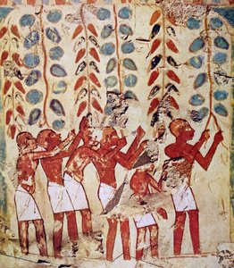 Peinture murale de tombe égyptienne