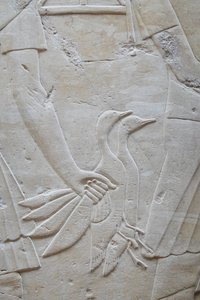 Main tenant 2 oies par les ailes, tombe de Ramose