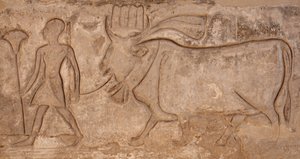 Homme tirant une vache, temple d
