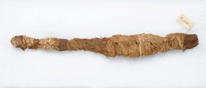 Momie de crocodile, trouvée à Manfalont, 305 av. J.-C.-30 av. J.-C. - Egyptian School