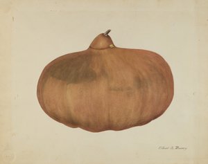Gourde de sel pionnière