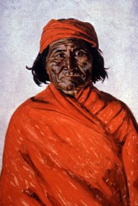 Geronimo, vers 1900 (illustration) - Elbridge Ayer Burbank