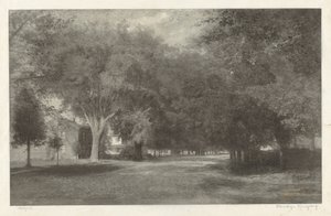 Ormes de la Nouvelle-Angleterre - Elbridge Kingsley