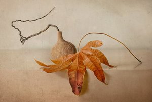 Nature morte automnale - Elena Arjona