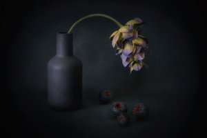 Fleurs et baies à l
