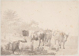 Troupeau - Elias Martin