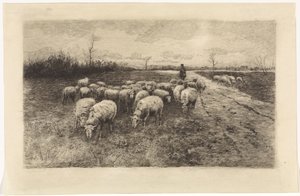 Berger avec troupeau de moutons