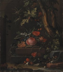 Fleurs