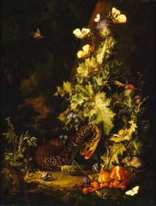 Nature morte avec un serpent, début du 18ème siècle - Elias van den Broeck
