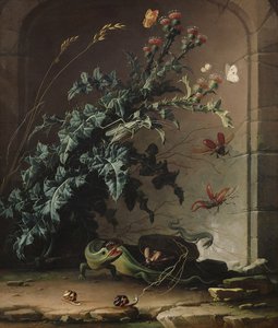 Niche en pierre avec chardon, lézard et insectes, 1690 - Elias van den Broeck