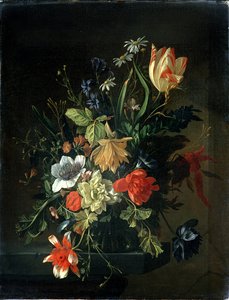 Image inconnue - Elias van den Broeck