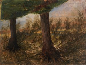 Arbres au bord d