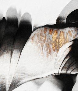 Contraste « Fluid Gold » - Elisabeth Fredriksson