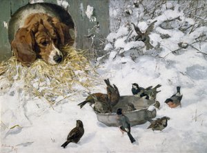Invités d