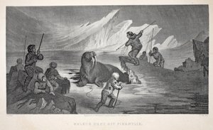 Chasse au morse au large de Pikantlik, illustration de 