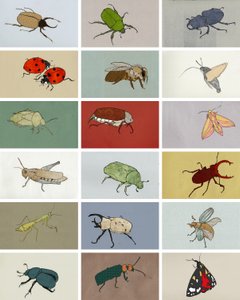 Insectes