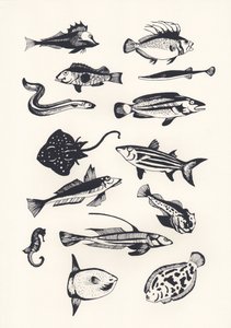 Poisson monochrome - Eliza Southwood