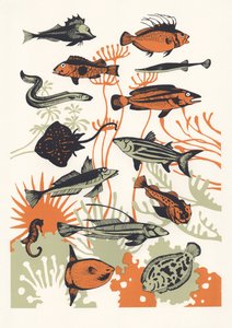 Poisson aux algues orange