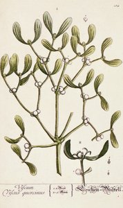 Gui de 