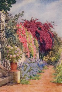 Bougainvilliers et roses, Welgelegen, Rosebank (lithographie couleur)