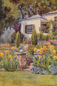 Cannas jaunes aux marches, Bishopscourt, près du Cap (lithographie couleur)