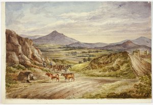 Collines de Wicklow - Elizabeth Murray