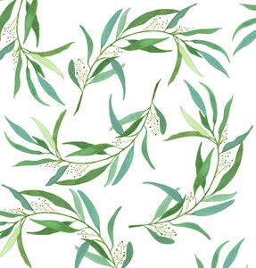 Feuilles d