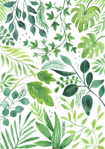 Mélange de feuilles, 2018 (aquarelle)