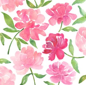 Pivoines, 2018 (aquarelle)