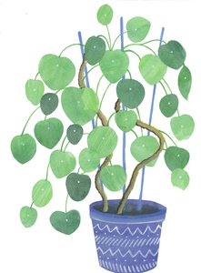 Plante Pilea, 2017 (aquarelle et collage)