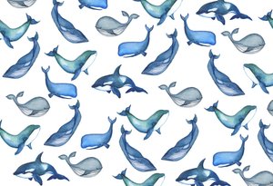 Baleines, 2017 (aquarelle)