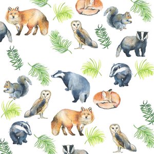 Animaux des bois, 2017 (aquarelle) - Elizabeth Rider