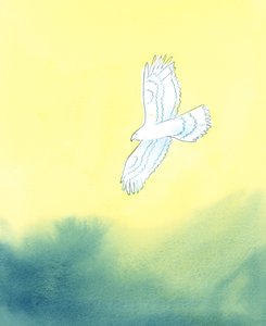 Dans sa justice, Dieu est comme un énorme oiseau de proie, qui voit de loin la plus petite créature sur terre et tous ses mouvements - Elizabeth Wang