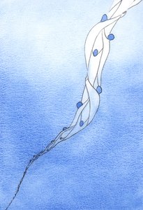 Nos intercessions pour les Saintes Âmes du Purgatoire, au nom de Jésus, sont comme une corde qui les tire vers le ciel - Elizabeth Wang