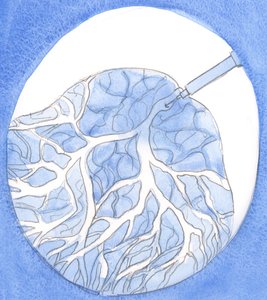 La prière, comme une injection puissante dans un organe faible, apporte chaleur, vie et renouveau à chaque partie - Elizabeth Wang
