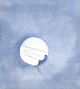 Les grâces que nous donne le Christ sont comme une rivière en crue qui nous emporte vers la source, 2000