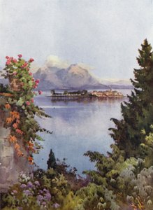 Un jardin à Baveno, Lac Majeur - Ella Du Cane