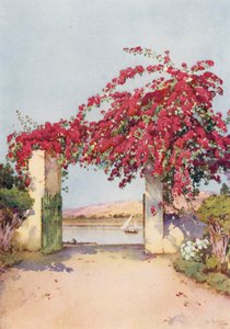 Un jardin à Louxor - Ella Du Cane