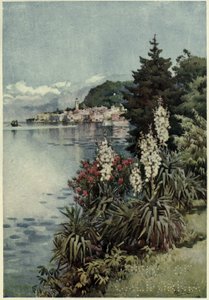 Un groupe de yuccas, Villa Melzi, Lago di Como, Illustration de 