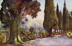 Avenue des cyprès, Villa del Pizzo, Lac de Côme - Ella Du Cane