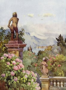Hortensias, Isola Bella, Lac Majeur - Ella Du Cane