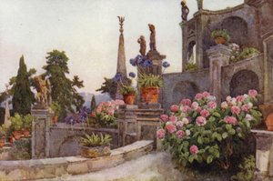 Dans le jardin, Isola Bella, Lac Majeur - Ella Du Cane