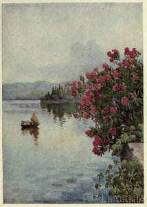 Lauriers roses, Lago di Como, Illustration de 