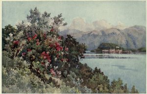 Roses, Villa Carlotta, Lago di Como, Illustration de 